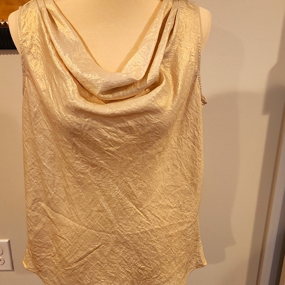 Gold Shell Top for work or play